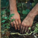 Bustac 4 Granular Soil Conditioner: 7 Proven Tips to Avoid Costly Mistakes