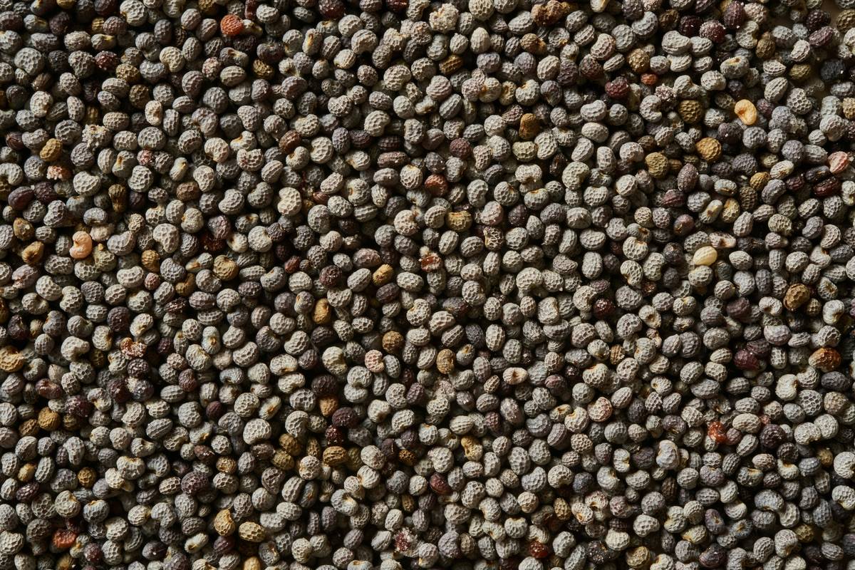 Gardening Supply Granular Fertilizer How To: 7 Proven Tips to Avoid Costly Mistakes