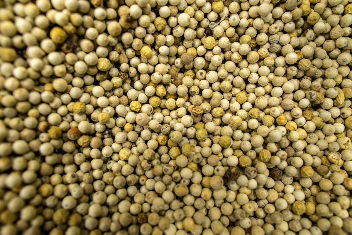Hand applying gardening supply granular fertilizer how to evenly across vegetable garden bed