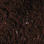 Granular Humate Soil Conditioner: 7 Proven Tips to Avoid Costly Mistakes