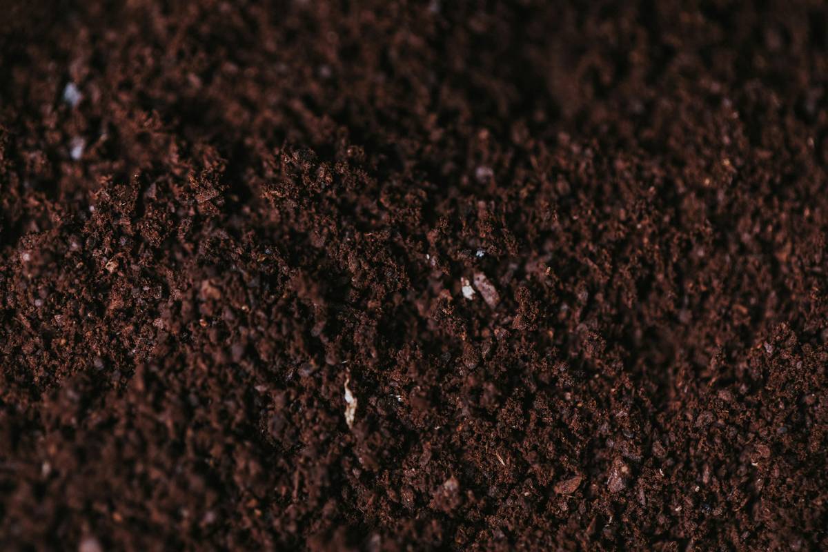 Granular Humate Soil Conditioner: 7 Proven Tips to Avoid Costly Mistakes