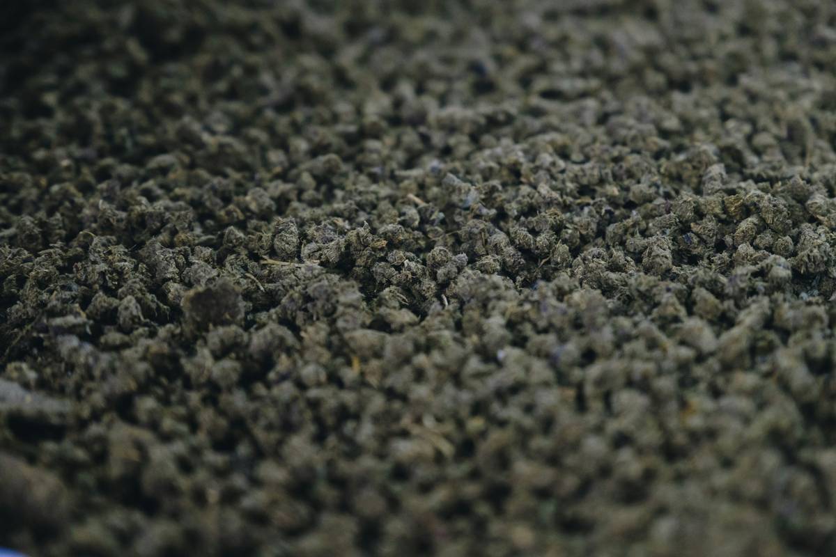 Granular Soil Amendment: 7 Proven Tips to Avoid Costly Mistakes