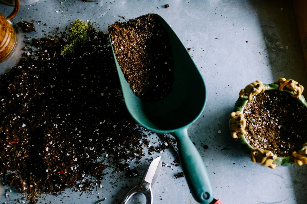 Granular Soil Conditioner: 7 Proven Ways to Avoid Costly Gardening Mistakes