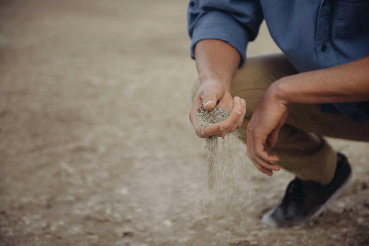 Hand spreading granular soil improver over vegetable garden bed